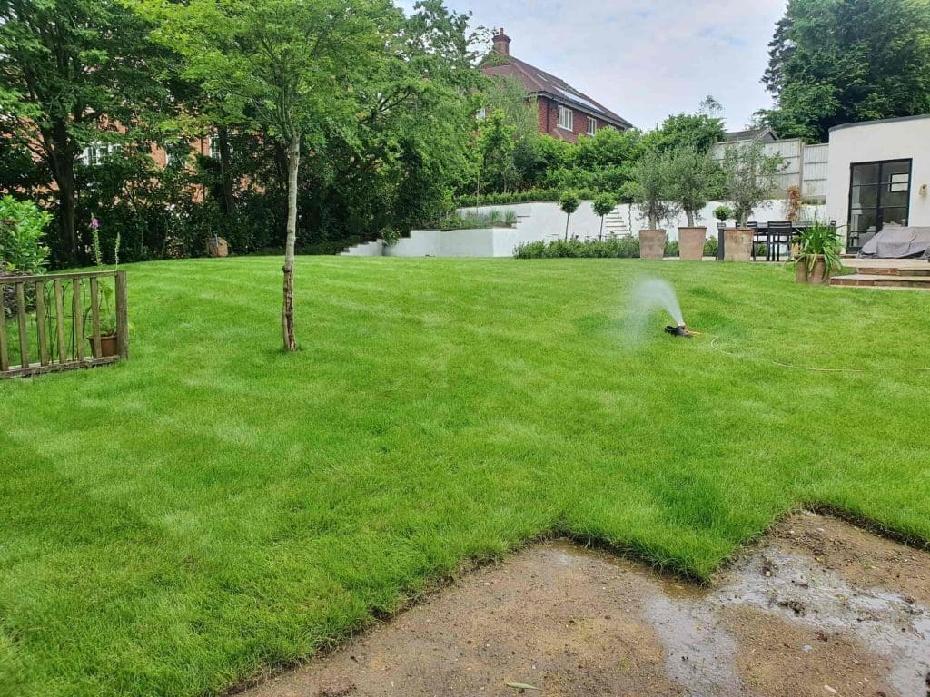 A lush green lawn with a sprinkler watering the grass, bordered by trees, shrubs, and a wooden fence. A modern white house and patio with potted plants are visible in the background.