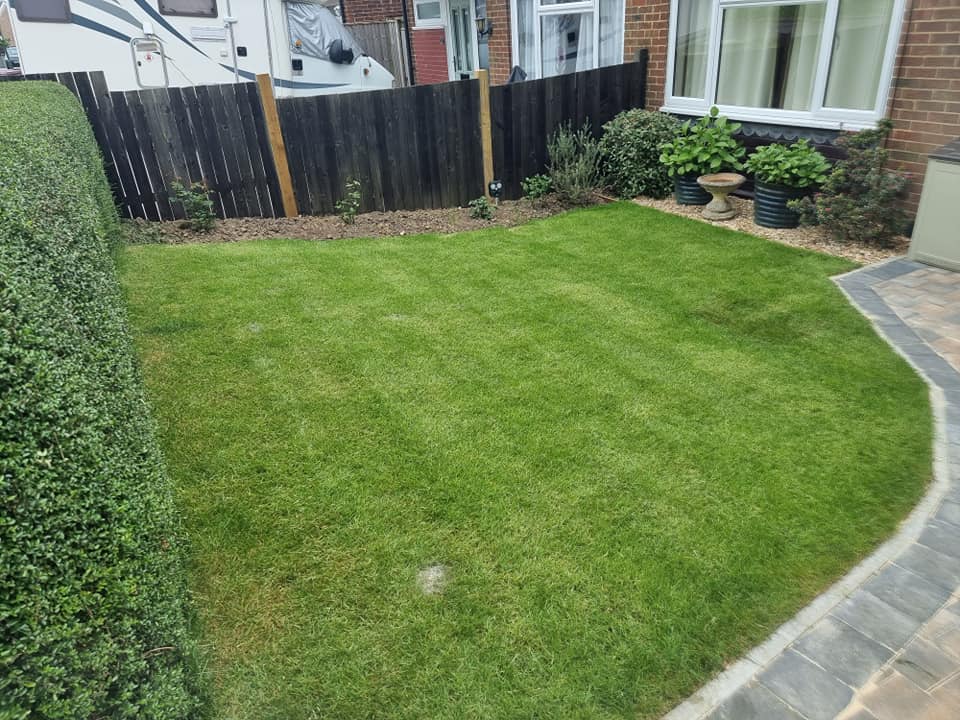 A well-maintained green lawn bordered by a hedge, black wooden fence, and a paved walkway, with shrubs and small plants planted along the fence and house wall.