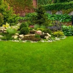 A landscaped garden with a lush green lawn, stone pathway, various shrubs, small trees, flowering plants, and a stone wall with stairs leading upward, surrounded by greenery and vines on the walls.